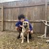 beastmaster2390